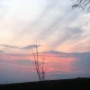 Towarzystwo Przyjaciół Nowodworu - Towarzystwo Przyjaciół Nowodworu